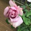 ciannabryant